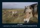 Thumbnail-10