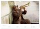Thumbnail-8