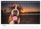 Thumbnail-11
