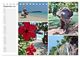 Thumbnail-14