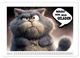 Thumbnail-12