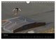 Thumbnail-12