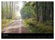 Thumbnail-11