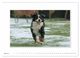 Thumbnail-11