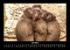Thumbnail-11
