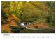 Thumbnail-11