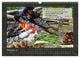 Thumbnail-14