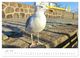 Thumbnail-8