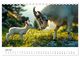 Thumbnail-11