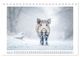 Thumbnail-7