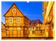 Thumbnail-11