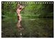 Thumbnail-12