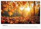 Thumbnail-11
