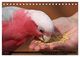 Thumbnail-11