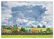 Thumbnail-8