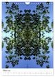 Thumbnail-8