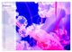 Thumbnail-10