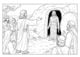Thumbnail-17