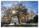 Thumbnail-3