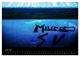 Thumbnail-8