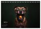 Thumbnail-9