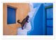 Thumbnail-8