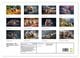 Thumbnail-13