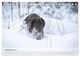 Thumbnail-14