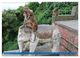 Thumbnail-11