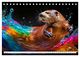 Thumbnail-13