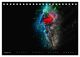 Thumbnail-7