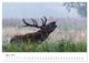 Thumbnail-9