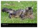 Thumbnail-14