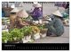 Thumbnail-14