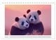Thumbnail-13