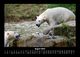 Thumbnail-12