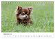 Thumbnail-11