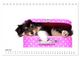 Thumbnail-11