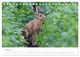 Thumbnail-12
