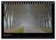 Thumbnail-14