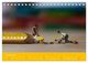 Thumbnail-13