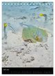 Thumbnail-10