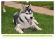 Thumbnail-10