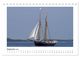 Thumbnail-11