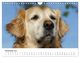 Thumbnail-13