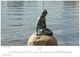 Thumbnail-12