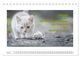Thumbnail-10