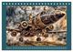 Thumbnail-8