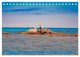 Thumbnail-8