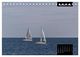 Thumbnail-11